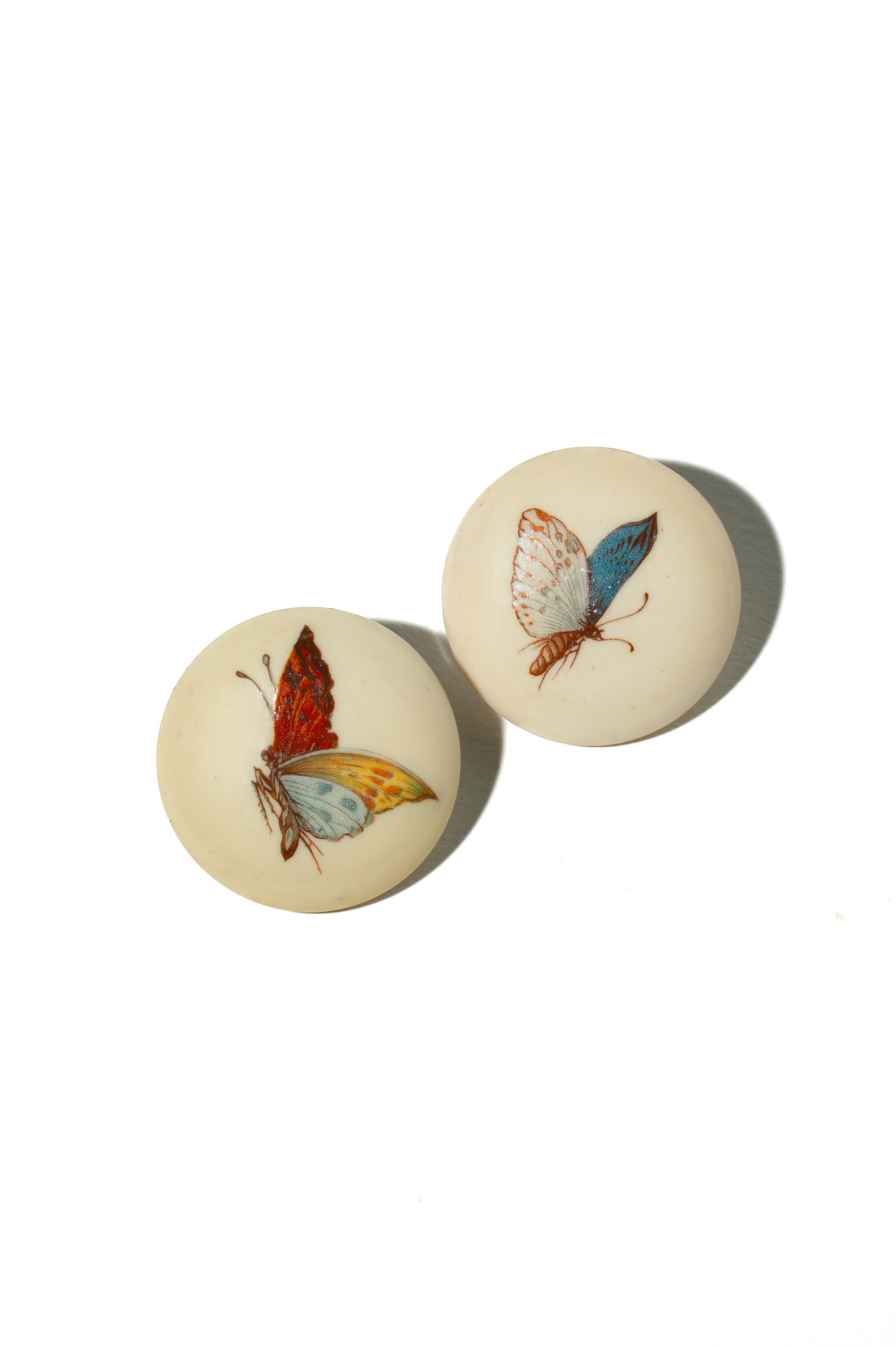 English Butterflies